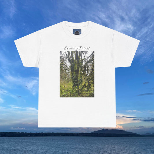 Scenery Prints Tree Fern Heavy Cotton Tee